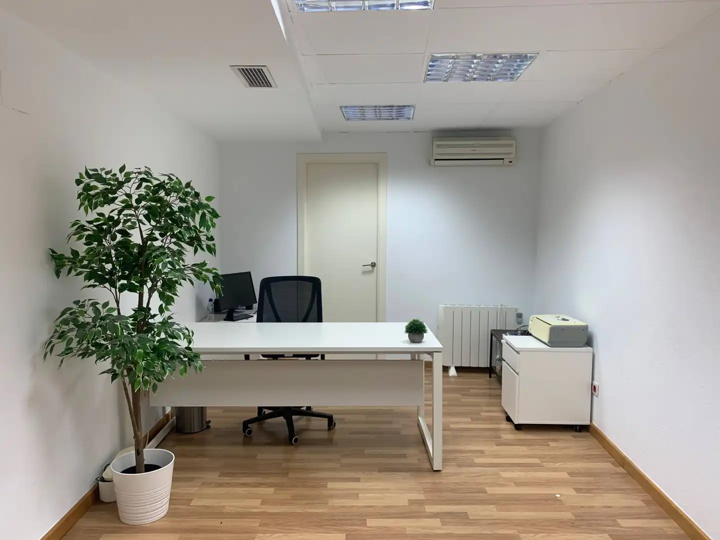 Büro zur Miete in Elche / Elx mit Möbliert