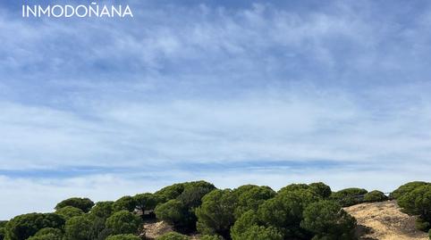 Foto 3 de Estudi en venda a Centro - Torre de la Higuera, Almonte