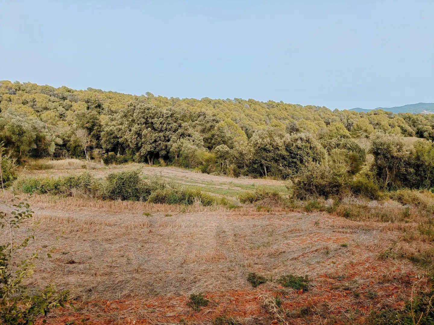 Casa en venda a Sant Gregori, imagen 11