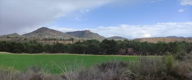 Terreno residencial en Venta en Calle Poligono 257 Parcela 15 en Zarcilla de Ramos