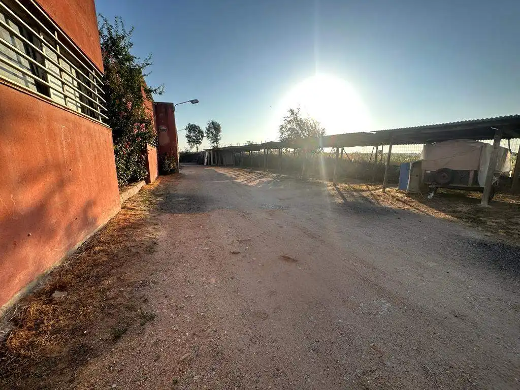 Exterior view of Industrial buildings for sale in Santa Coloma de Farners