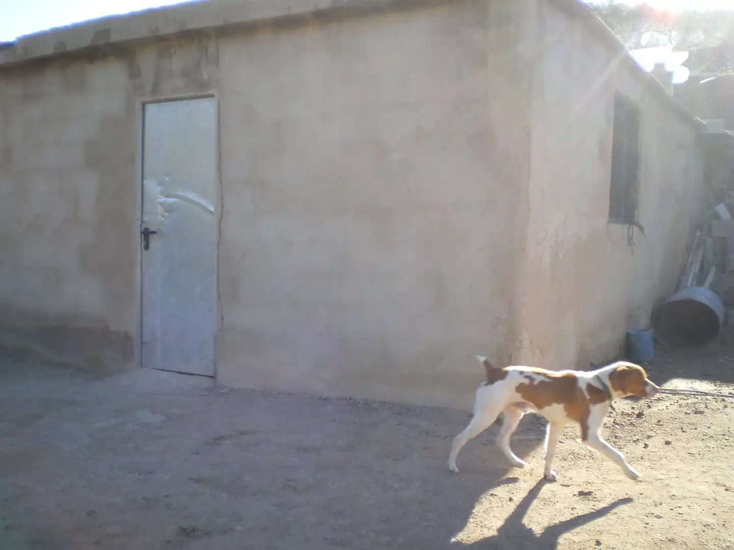 Terreno rustico in vendita a Riudecols, imagen 4