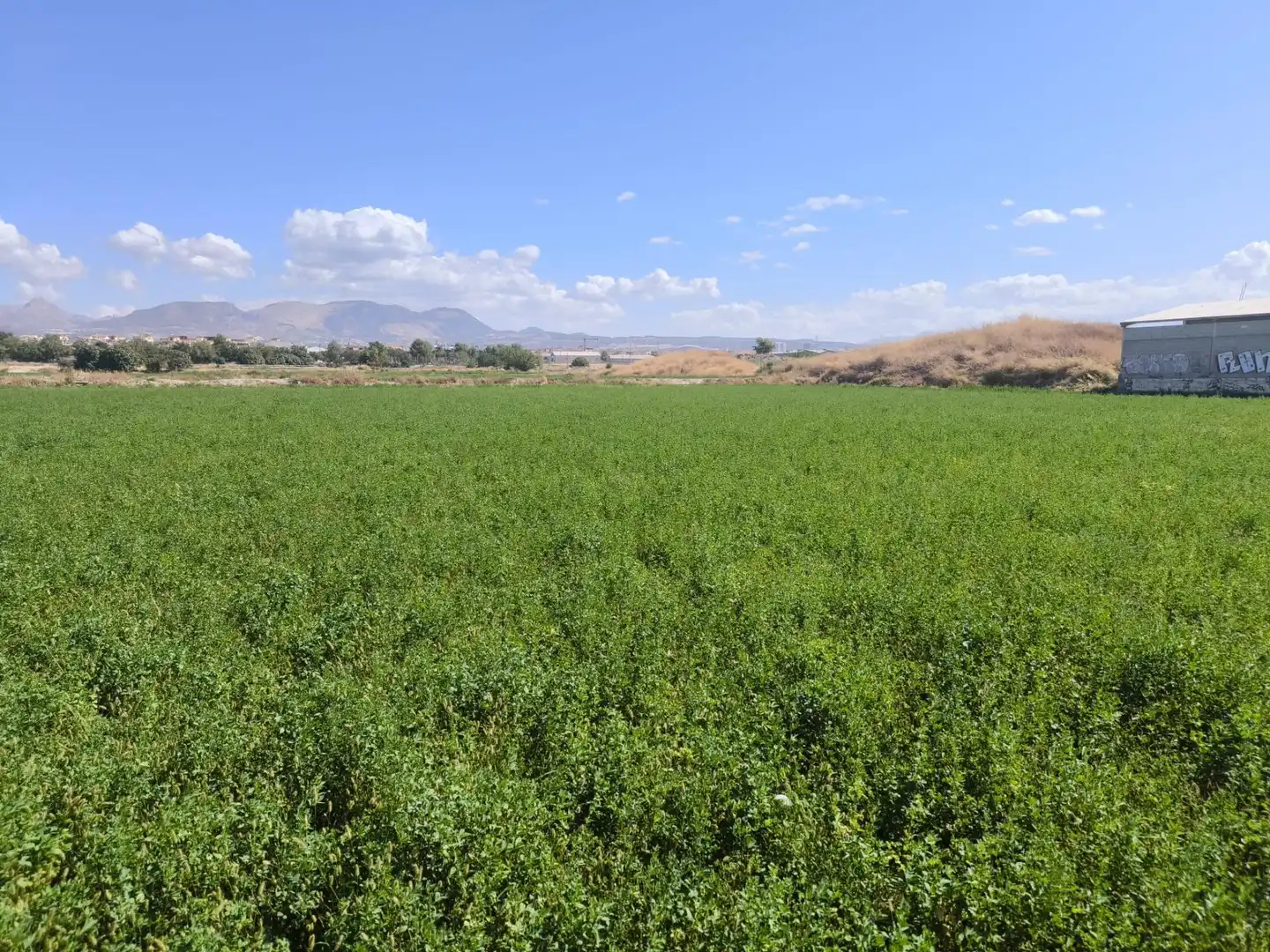Industrial land for sale in Maracena, Granada