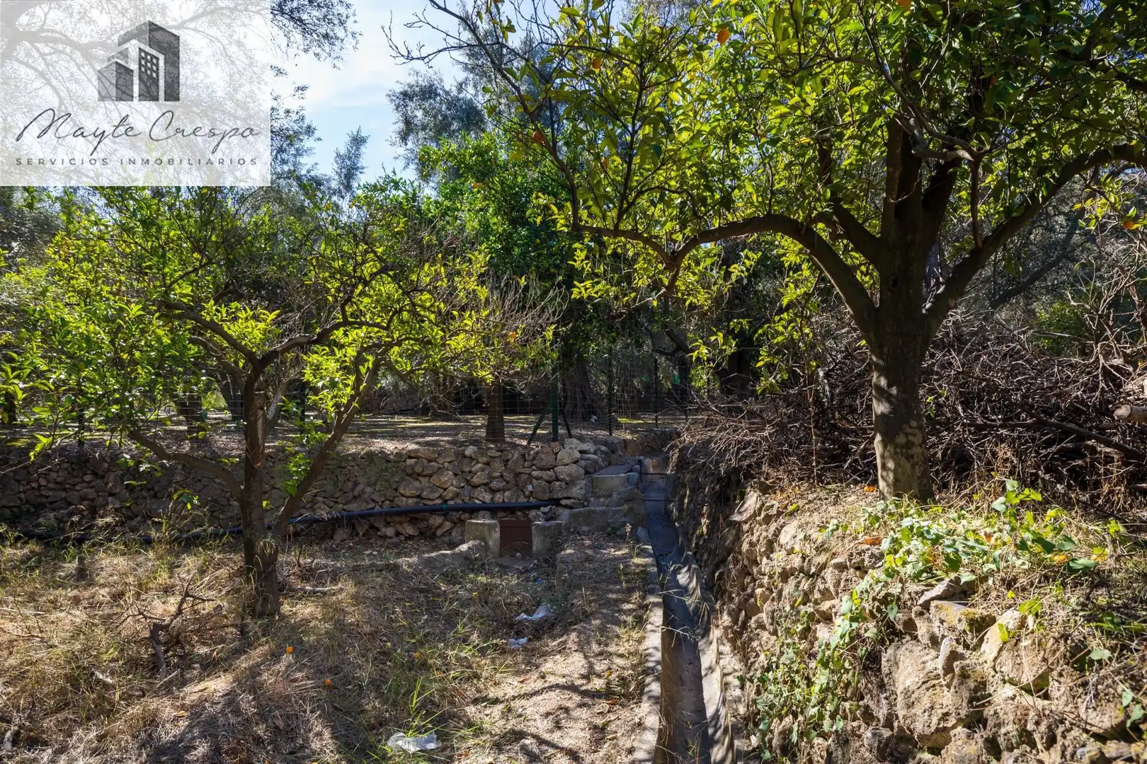 Terreno rustico in vendita a Lecrín, imagen 10