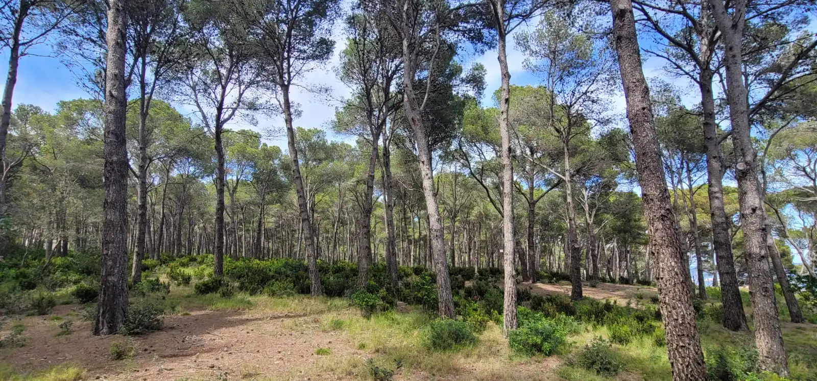 Houses for sale in Palamós  with Air Conditioner, Heating and Private garden