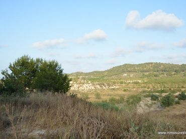 Terrain rustique à vendre à Desamparados - Hurchillo - Torremendo
