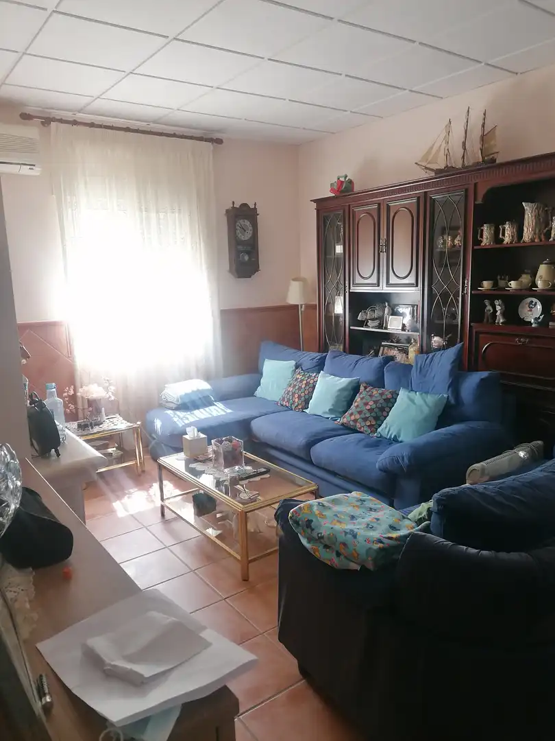 Chalet con jardín en venta en La Carlota, imagen 13