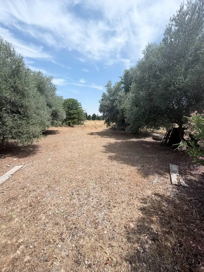 Residential land for sale in Novés, imagen 5