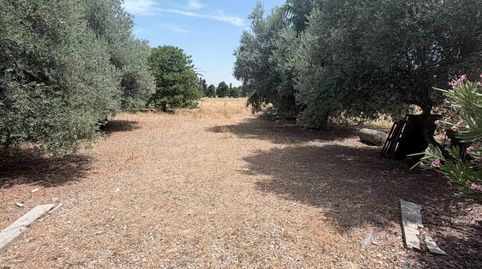 TERRENO URBANO EN TORRIJOS GOLF, immagine 5