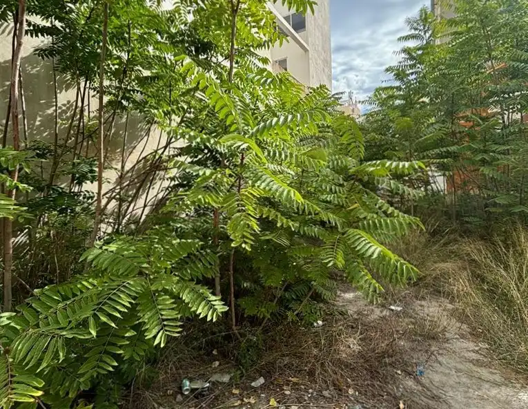 Residential for sale in Vazquez Mella, Ensanche - Parque del Oeste