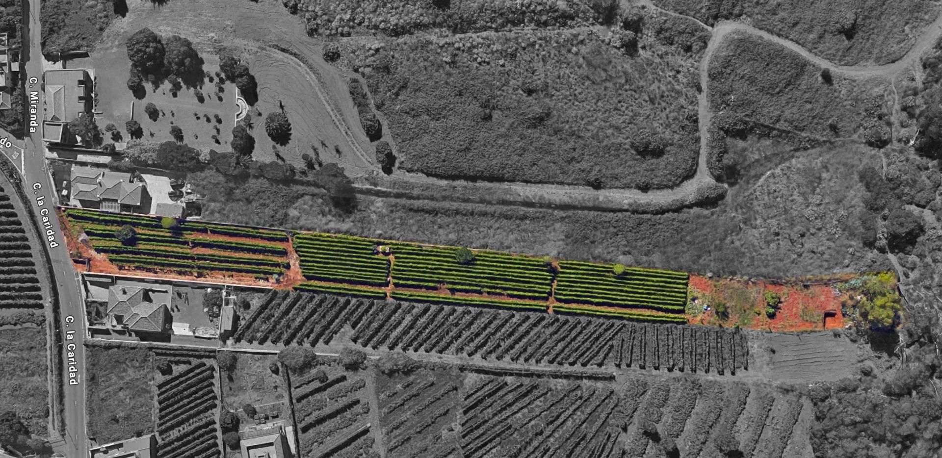 Terreny industrial en venda en Tacoronte