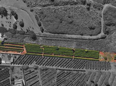 Terreny residencial en venda a Calle Calle La Caridad 1B