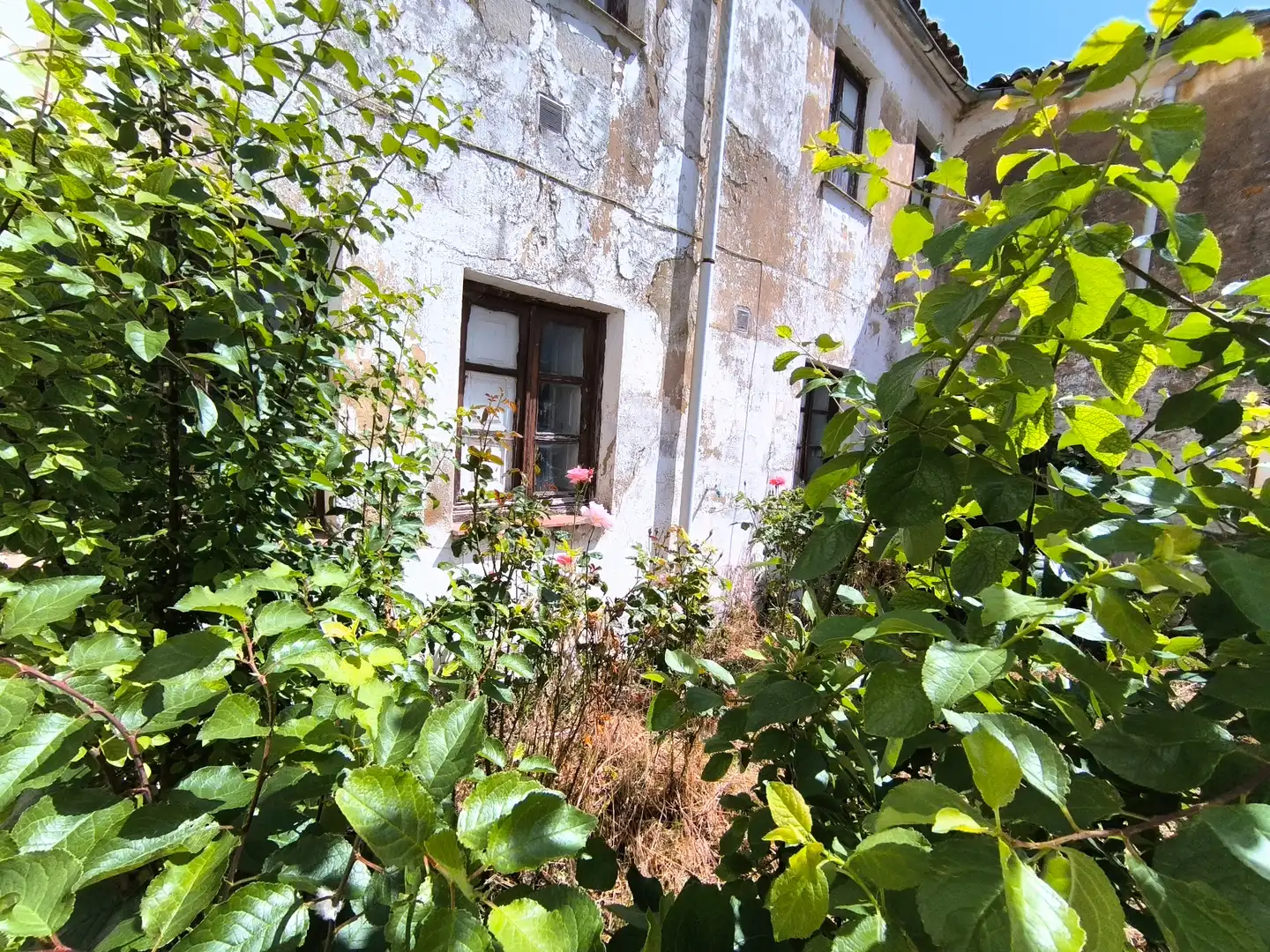 Jardí de Casa o xalet en venda en Meneses de Campos amb Jardí privat i Traster