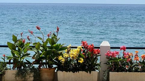 Foto 3 de Casa adosada en venta en Calahonda, Mijas