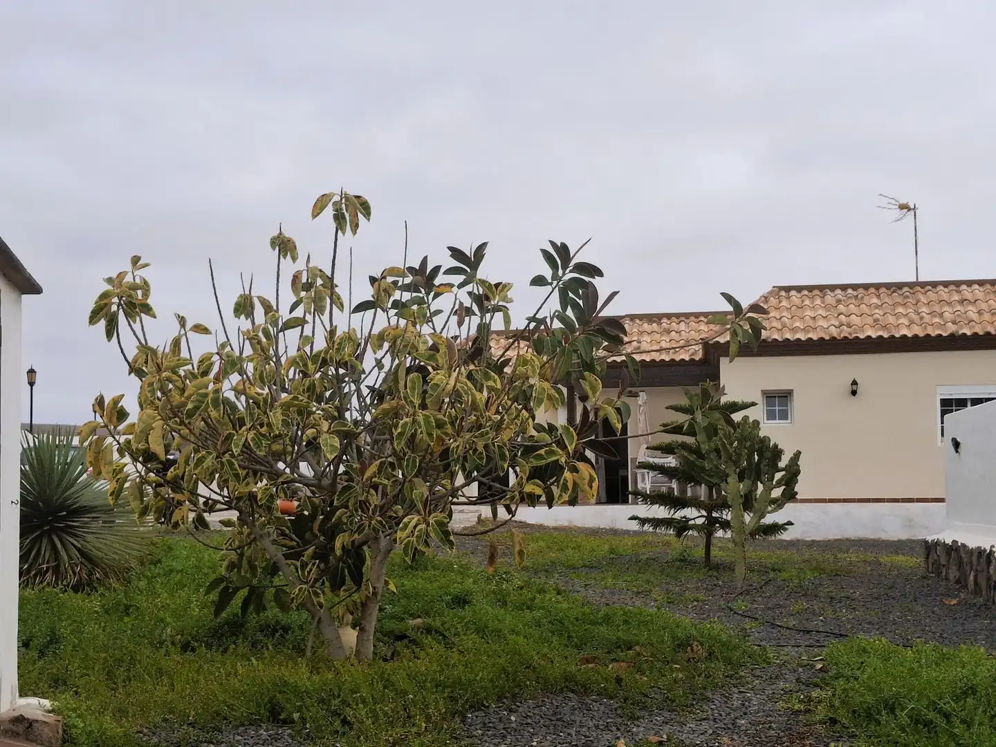 Vista exterior de Casa o xalet en venda en La Oliva amb Aire condicionat, Jardí privat i Terrassa