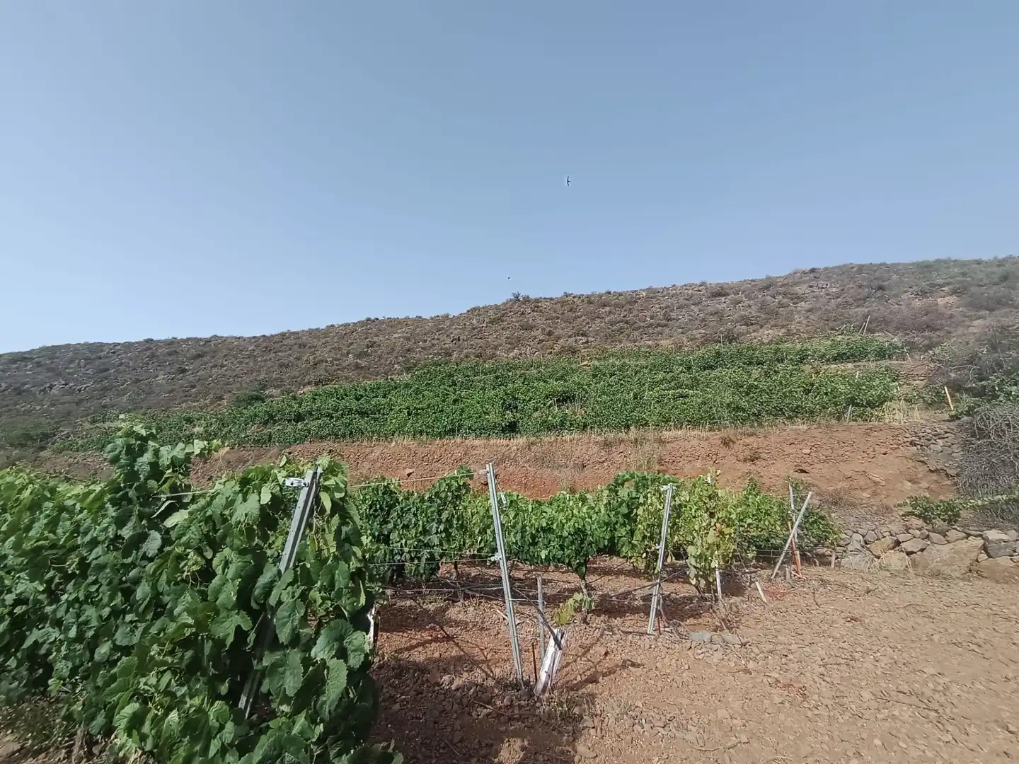 Terreno rustico in vendita a Arico, imagen 17