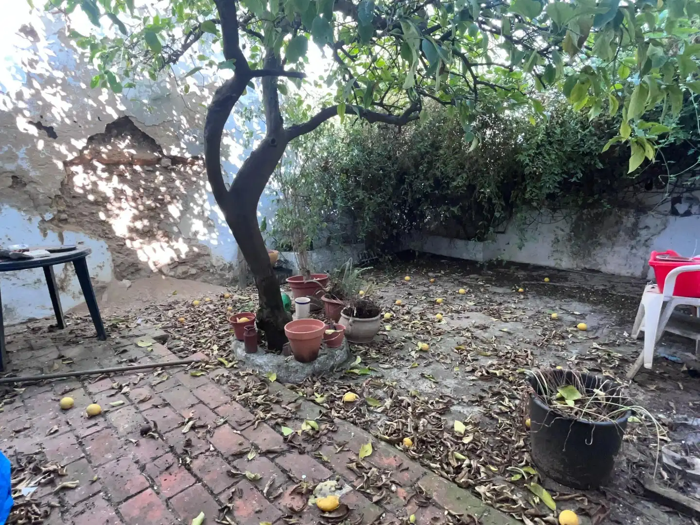 Jardí de Casa o xalet en venda en Mairena del Alcor