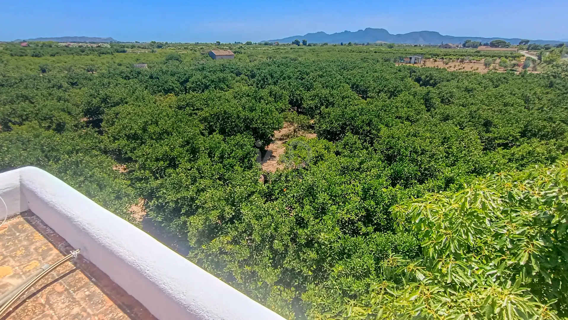 Casa o chalet en venta en Albalat de la Ribera con Calefacción y Terraza