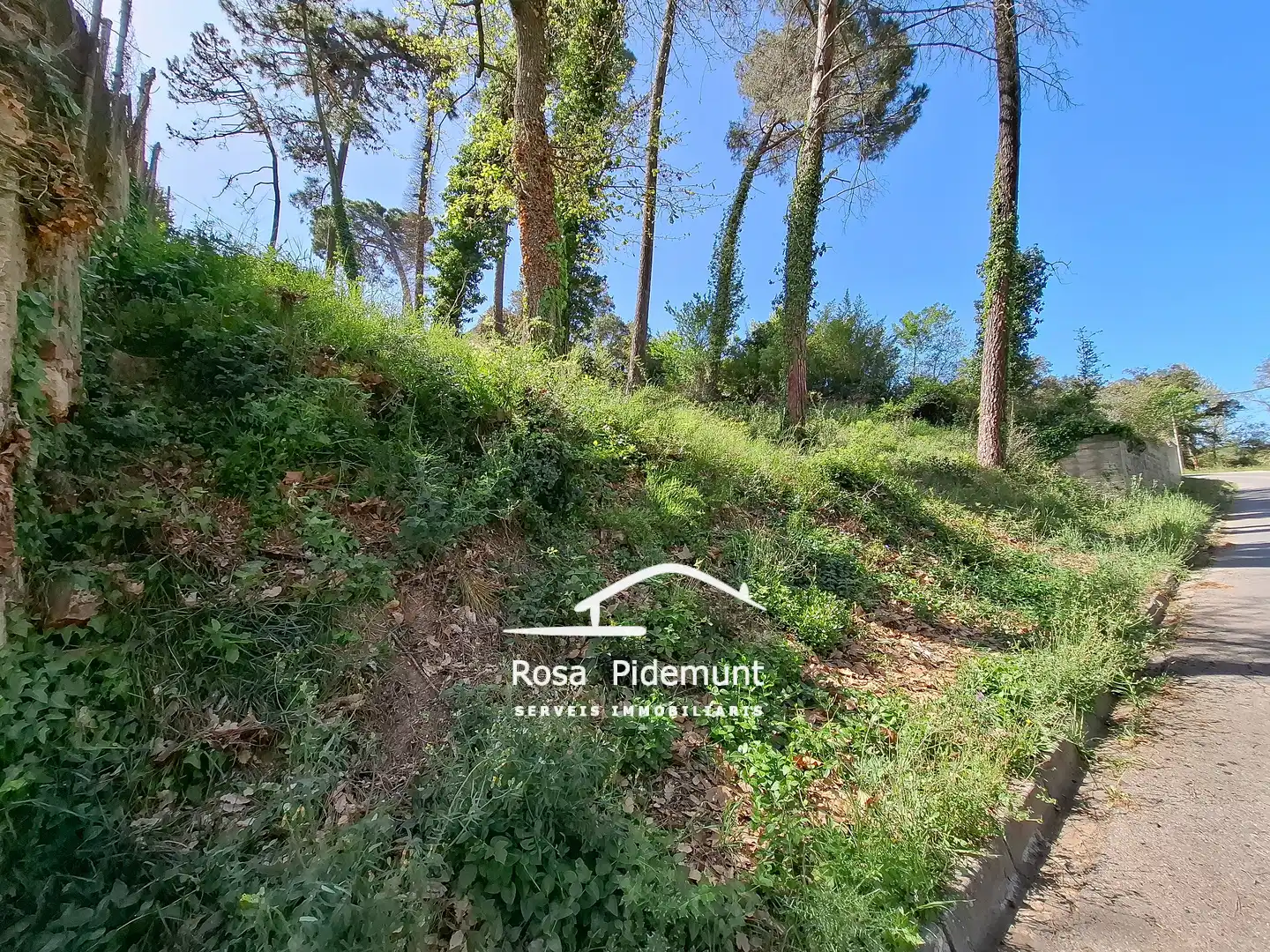 Wohnbaugrundstück zum Verkauf in Avinguda Arbres