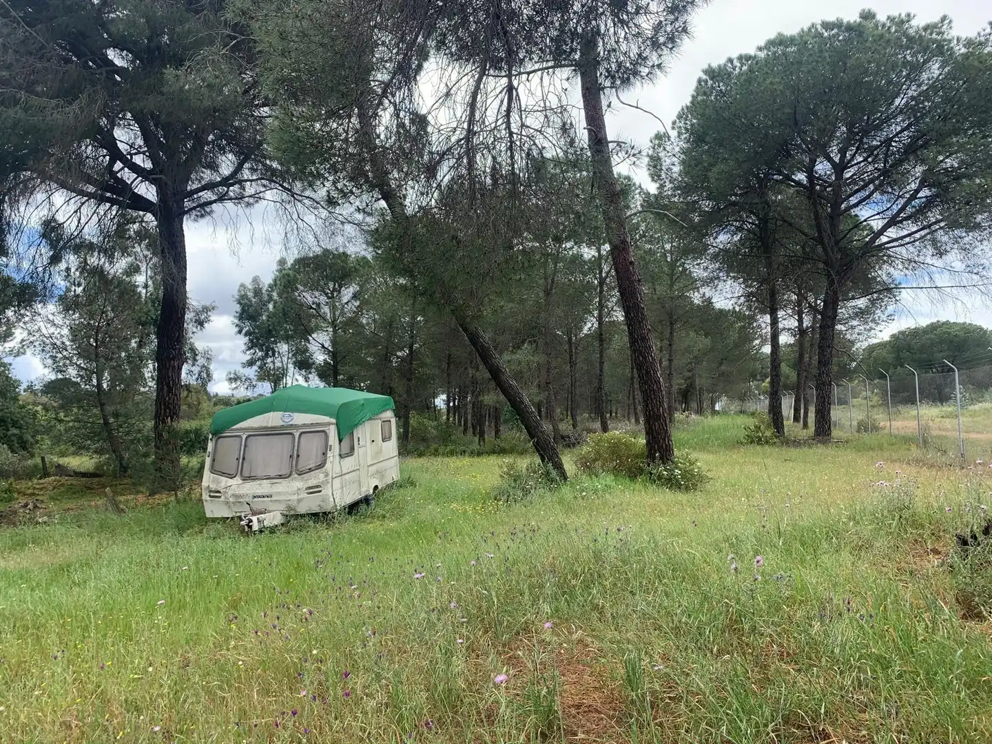 Terreny rústic en venda a San Bartolomé de la Torre, imagen 4