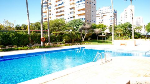 Foto 2 de Piso de alquiler en Playa Muchavista, El Campello
