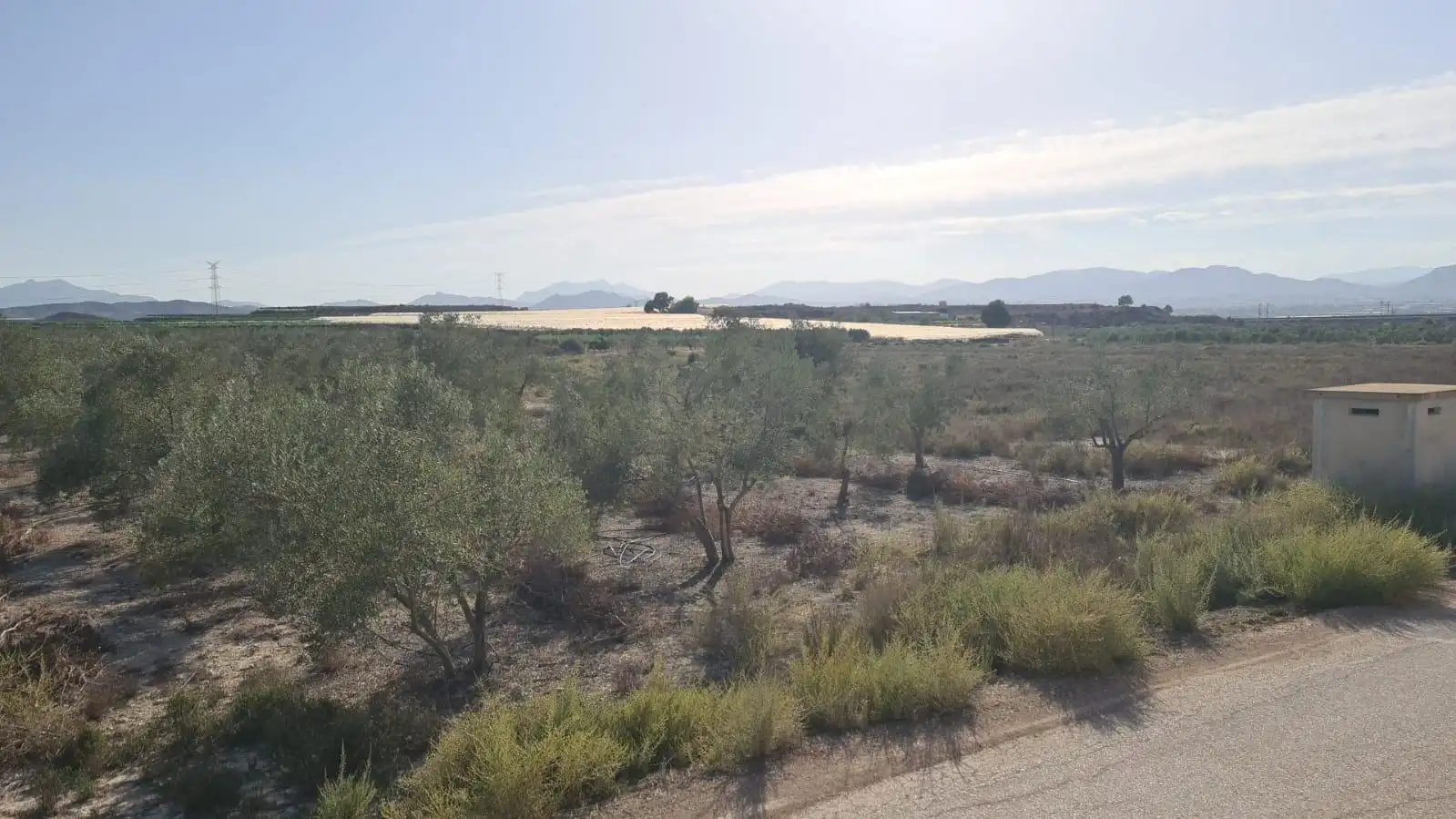 Terrenos y solares en venta en Monforte del Cid, imagen 10