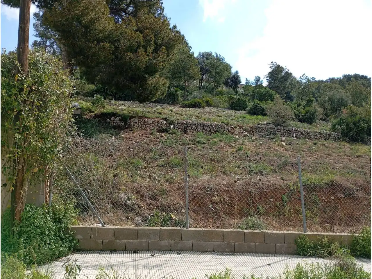 Terreny residencial en venda a Calle Gladiol, imagen 5