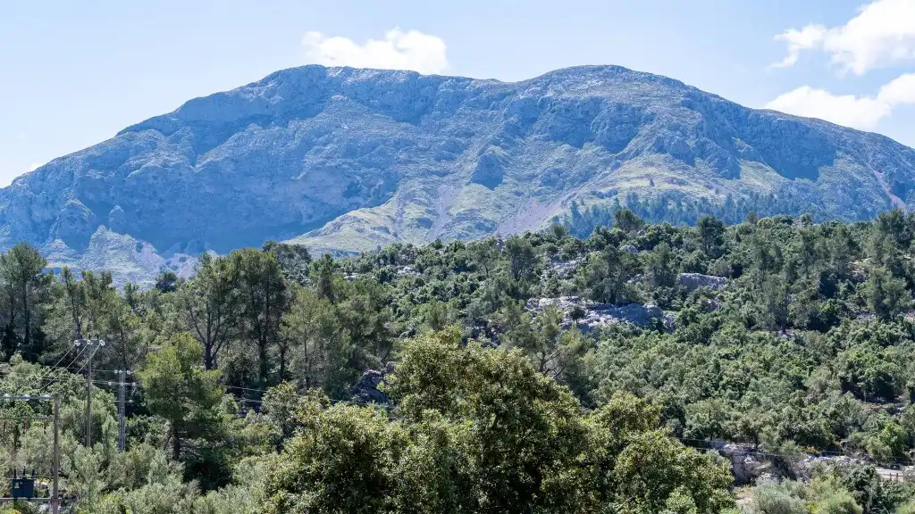 Maison rustique à vendre à Escorca, imagen 16