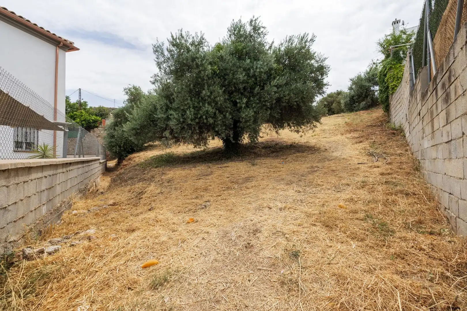 Terrenys i solars en venda a Cañada Molinos, imagen 13