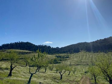 Terreno rustico in vendita a Tébar - Los Arejos