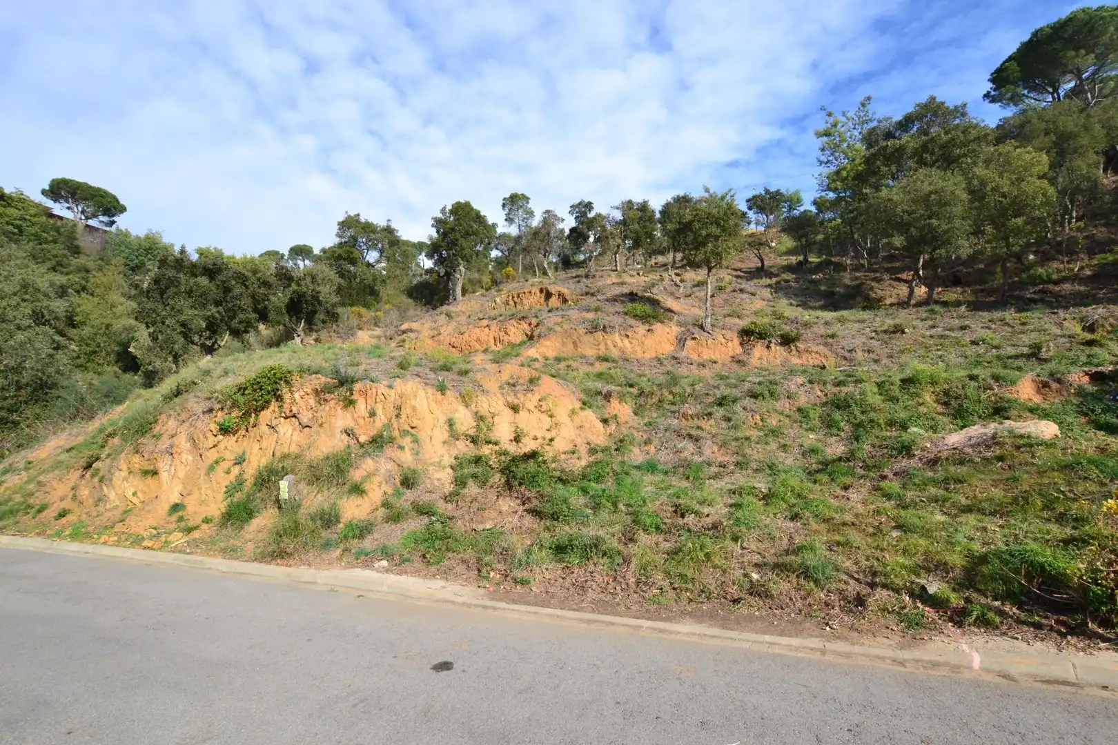Terreny residencial en venda a Eucaliptus 9, imagen 5