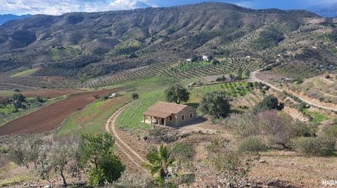 Foto 3 de Finca rústica en venta en Sexmo, Cártama