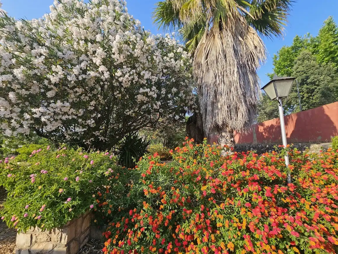 Casa rústica amb piscina en venda a Canals, imagen 3