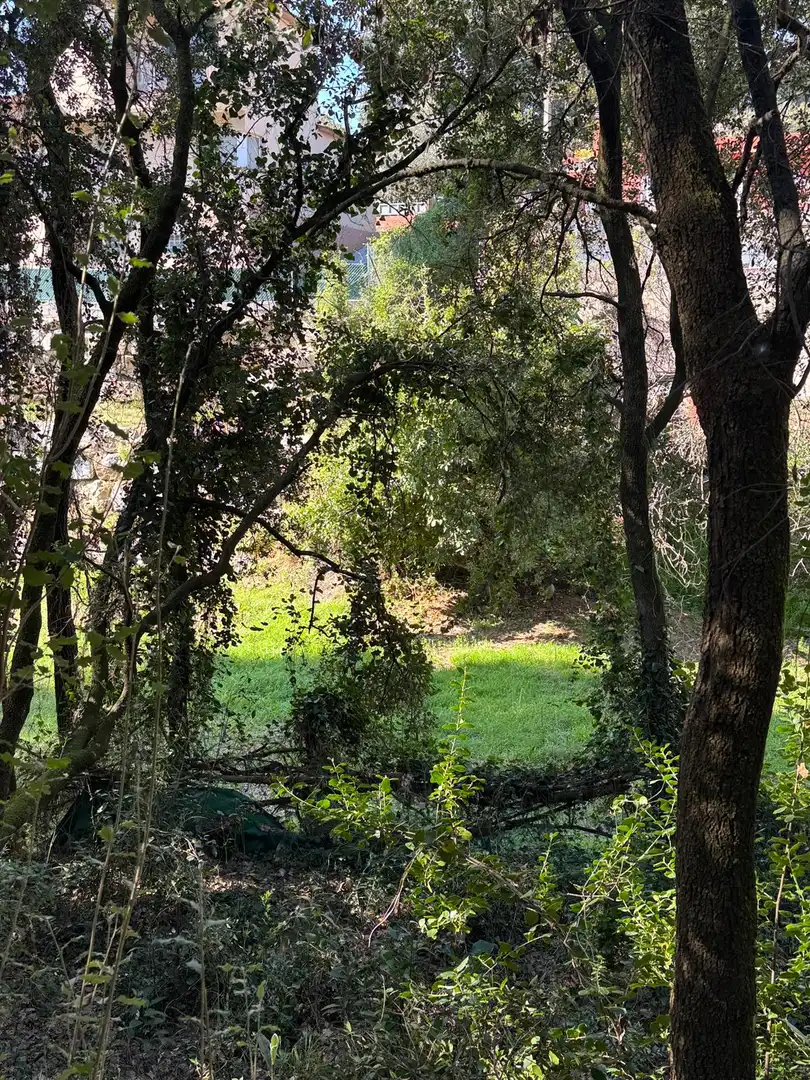 Grundstücke und Bauplätze zum Verkauf in Carrer de Lluis Millet 16, imagen 17