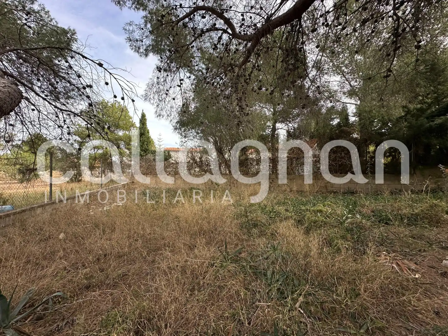Terreny residencial en venda a Calle ESPARVER, imagen 17