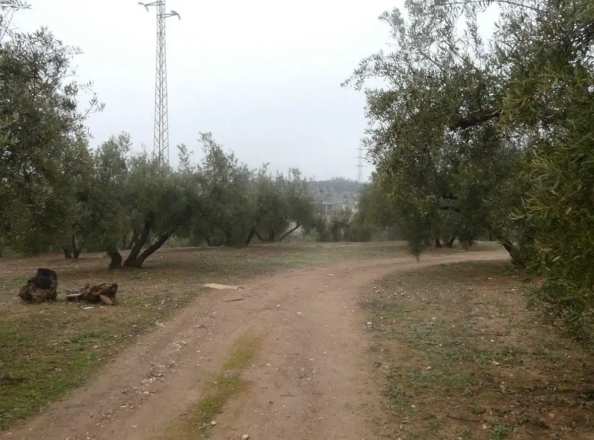 Terreni e lotti in vendita a Peligros, imagen 22