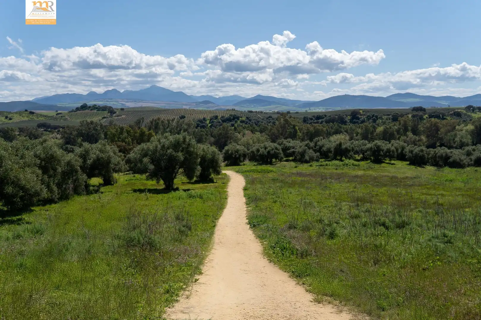 Vista exterior de Finca rústica en venta en Prado del Rey