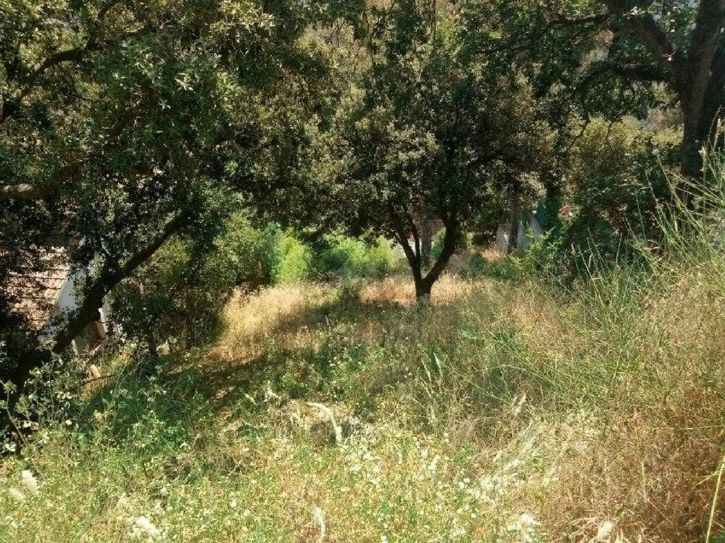 Terrenys i solars en venda a Can Massuet del Far, imagen 9