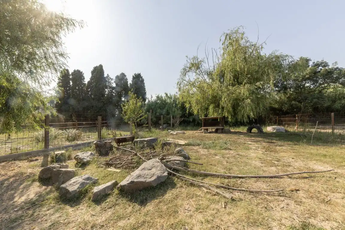 Rural land for sale in Carretera, imagen 20