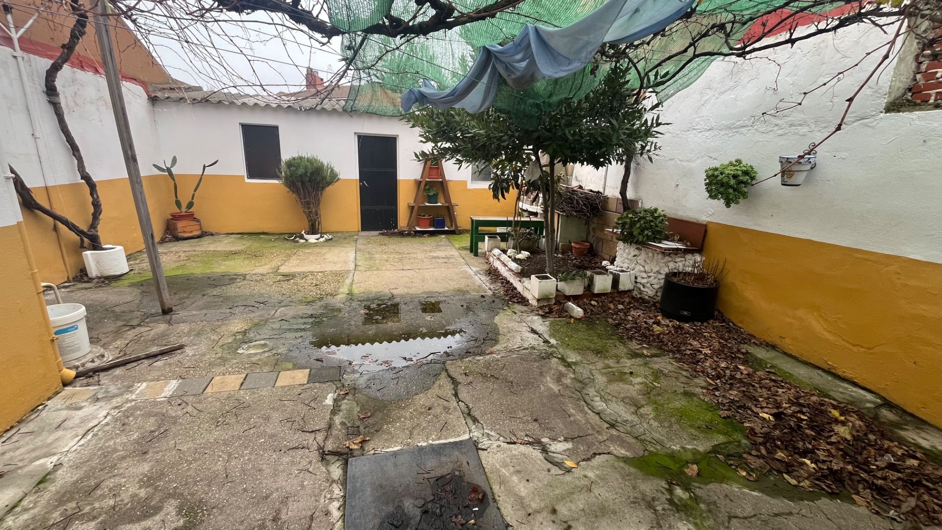 Jardín de Casa o chalet en venta en Valladolid Capital