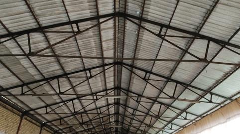 Photo 3 of Industrial buildings for sale in Pedanías Norte, Utrera