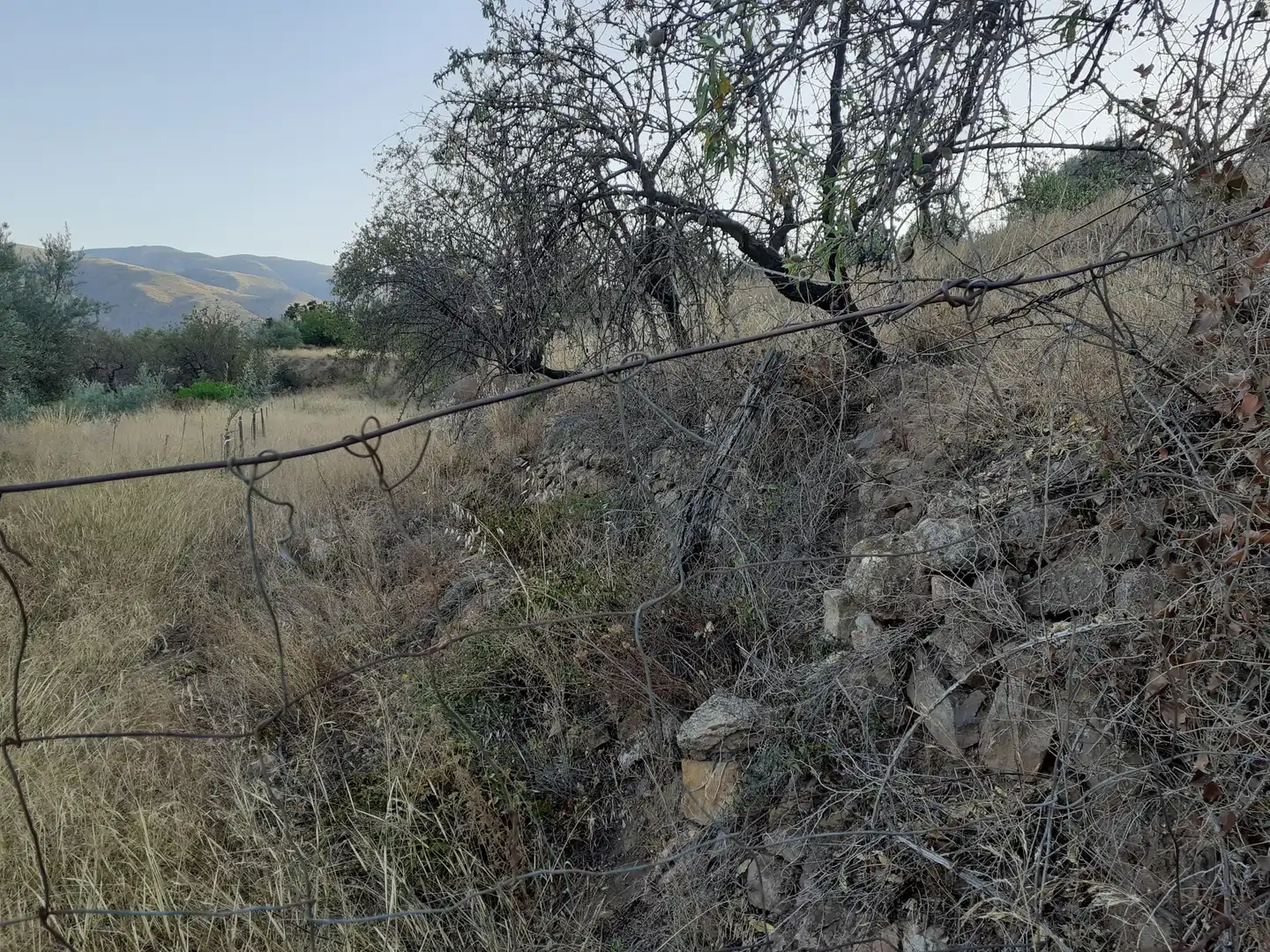 Rural land for sale in Beires, imagen 5