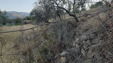 FINCA DE REGADÍO PARA RECREO, immagine 5