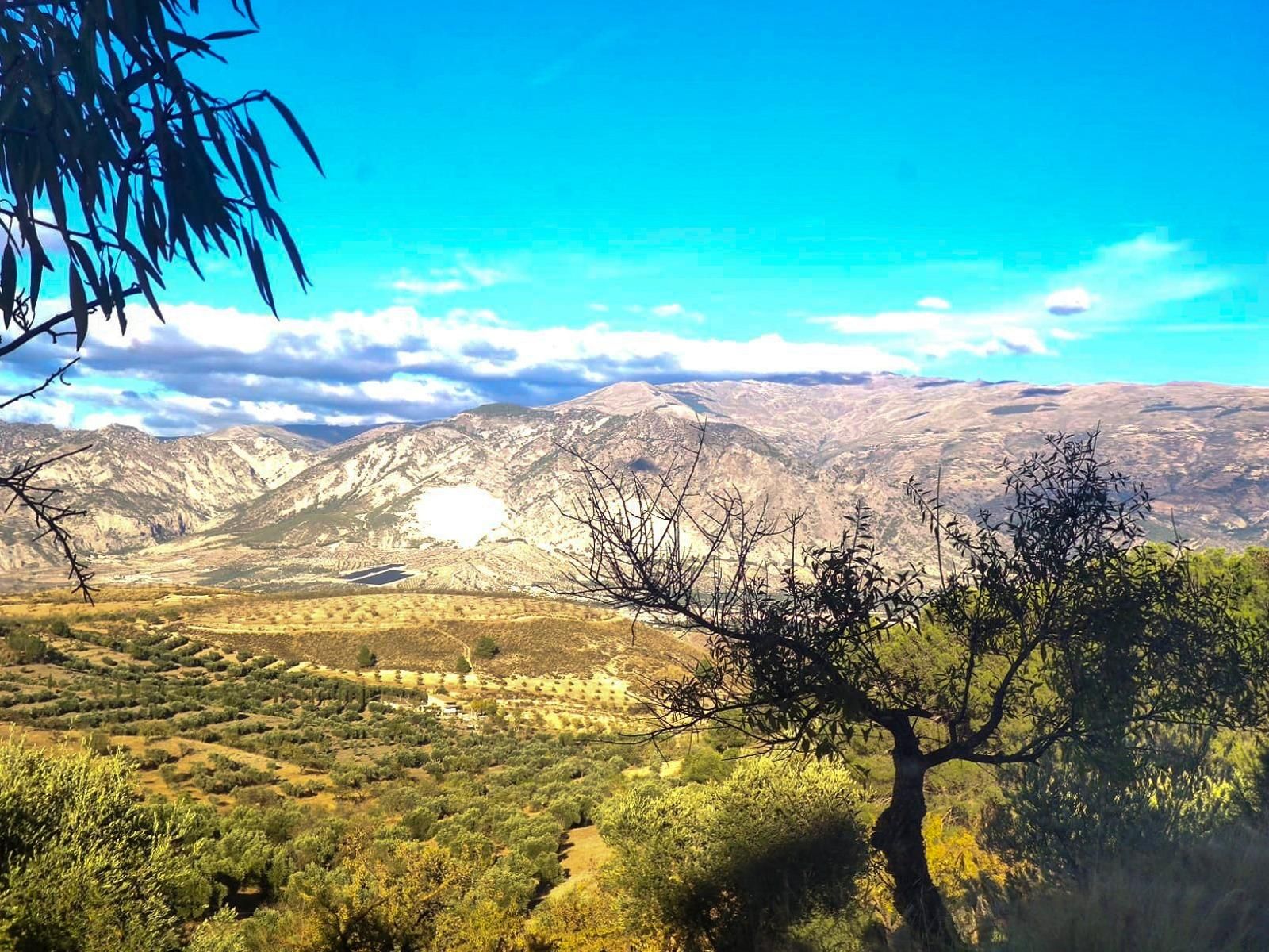 Vista exterior de Finca rústica en venda en Villamena