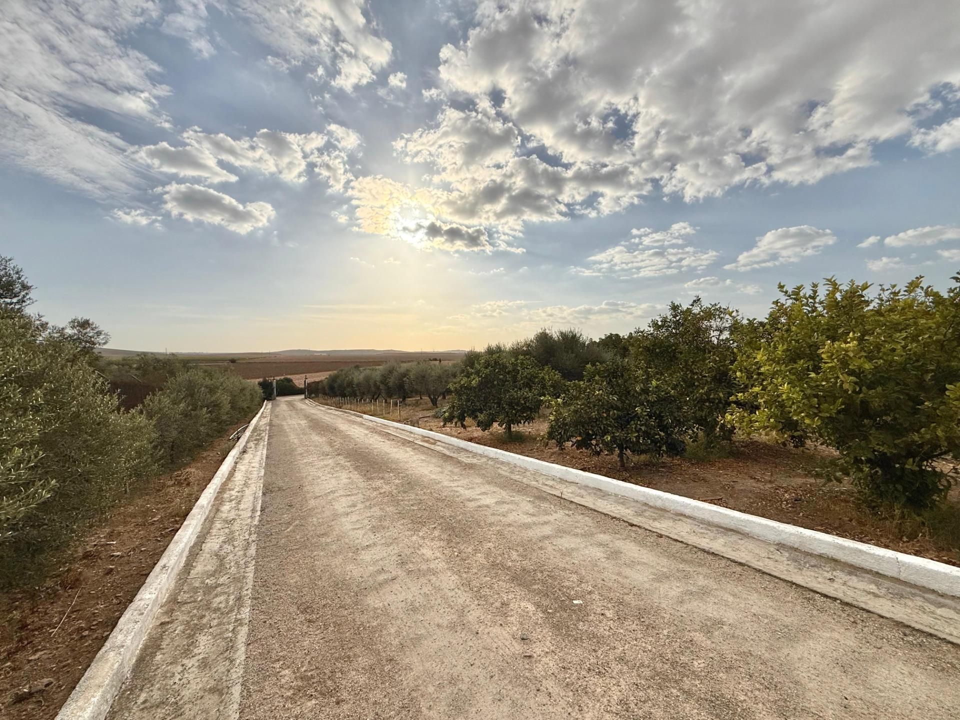 Haus oder Chalet zum verkauf