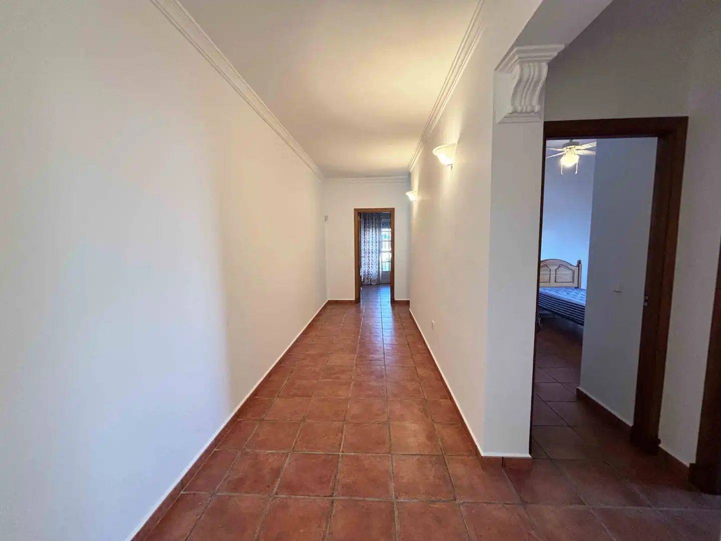 House with terrace for sale in Benalup-Casas Viejas, imagen 29