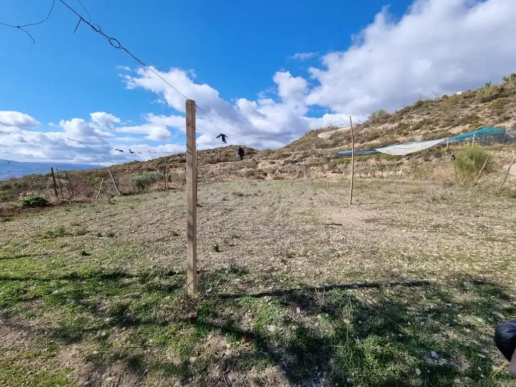 Terreni e lotti in vendita a Nevada, imagen 12