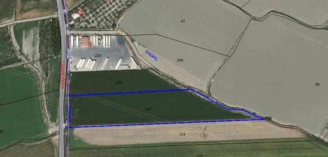 Finca rústica en Venta en Camino de Purchil en Rosaleda - Juventud