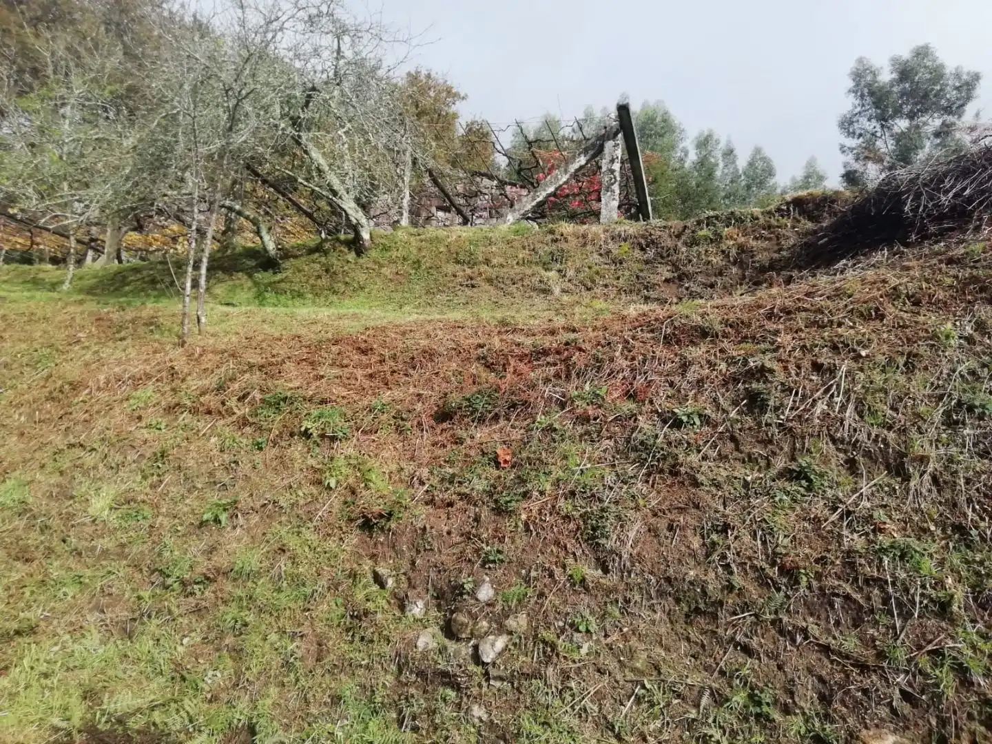 Terreno en venta en Campo Lameiro, Pontevedra