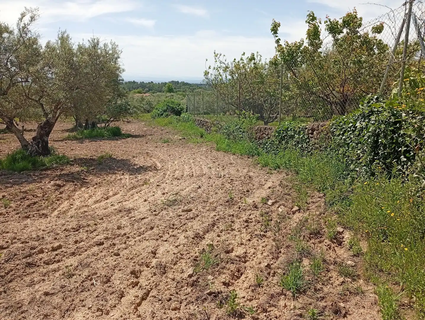 Terreni e lotti in vendita a Villanueva de la Vera, imagen 25